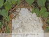 Gyula - Kolera temetőben lévő Erkel család és leszármazottaik sírhelyei