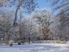 Gyulai tél - Csiga-kert 2022. havas január