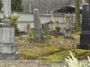 Lőcse, evangélikus műemlék temető