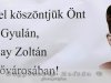 Bay Zoltán fizikus - állandó kiállítás 