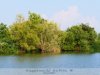 Biharugra - Madárvárta és a tanösvény a tavakkal