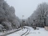 Budapest - Normafa környéke