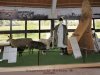 Bugac - Pásztormúzeum