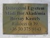 Debreceni Egyetem - Mádi Bor Akadémia, Borsay kastély