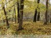 Doboz - Szanazugi erdő a Holt Fekete–Körössel