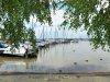 Fertő-tó Burgenlandban
