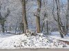 Gyulai tél - Csiga-kert 2022. havas január