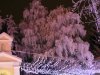 Jászberényi télelő adventi fényekkel