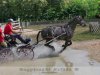 Mezőhegyes lovas VB 2. rész a döntő versenynapja. A legizgalmasabb: a vizesárok 