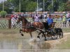 Mezőhegyes lovas VB 2. rész a döntő versenynapja. A legizgalmasabb: a vizesárok 