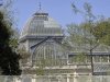 Madrid - Királyi botanikus kert és pálmaház