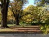 Szabadkígyós - A Wenckheim kastély parkja - őszi színekben.