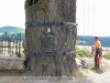 Zólyomlipcse - várudvaron a 750 éves Corvin hárs